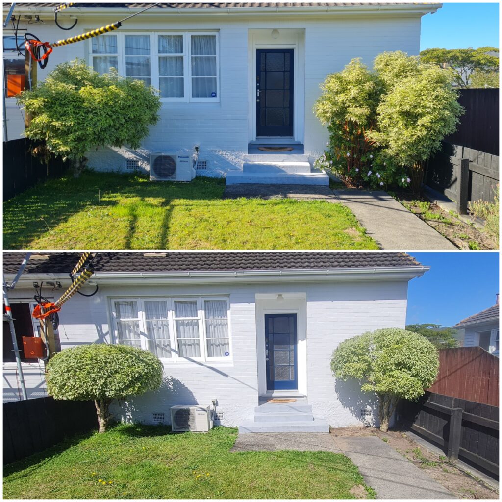 Tree Services Wellington